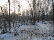 Превью фото № 198798