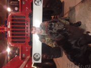 Превью фото № 198810