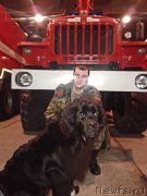 Превью фото № 198812