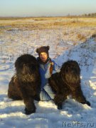 Превью фото № 198815