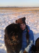 Превью фото № 198816