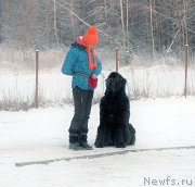 Превью фото № 198845