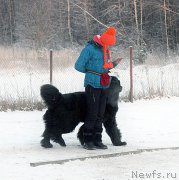 Превью фото № 198846