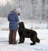 Превью фото № 198852