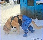 Превью фото № 198857