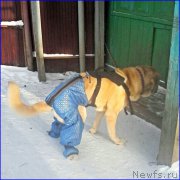 Превью фото № 198858