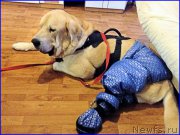 Превью фото № 198865