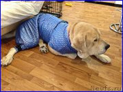 Превью фото № 198868