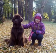 Превью фото № 198883