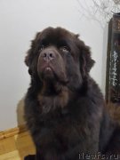 Превью фото № 198898