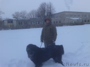 Превью фото № 198904