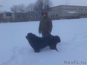 Превью фото № 198905