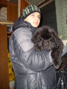 Превью фото № 198927