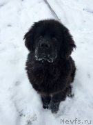 Превью фото № 198989