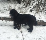 Превью фото № 198990