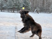 Превью фото № 199007