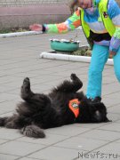 Превью фото № 199011