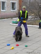 Превью фото № 199012