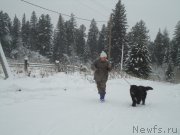 Превью фото № 199036