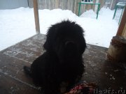 Превью фото № 199040