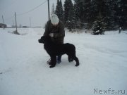 Превью фото № 199044