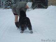 Превью фото № 199048