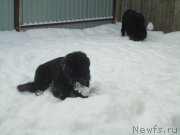 Превью фото № 199054