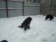 Превью фото № 199056