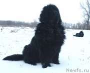 Превью фото № 199068