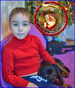 Превью фото № 199099