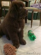 Превью фото № 199114