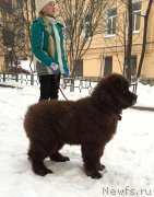 Превью фото № 199115