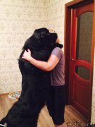 Превью фото № 199153