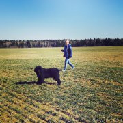 Превью фото № 199229