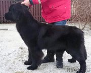 Превью фото № 199251