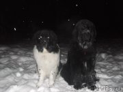 Превью фото № 199326