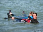 Превью фото № 199345