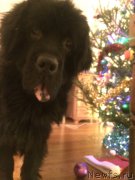 Превью фото № 199355