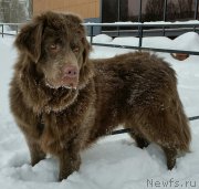 Превью фото № 199365