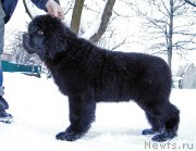 Превью фото № 199379