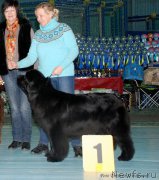 Превью фото № 199425