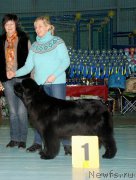 Превью фото № 199426