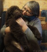 Превью фото № 199444