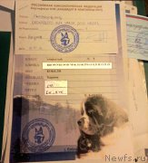 Превью фото № 199448