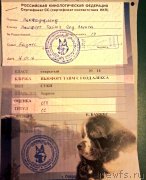 Превью фото № 199452