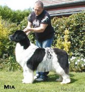 Превью фото № 199458