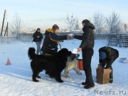 Превью фото № 199492