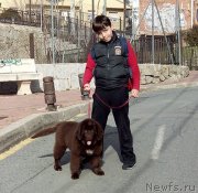 Превью фото № 199502