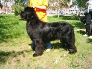 Превью фото № 199577