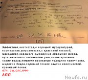 Превью фото № 199587